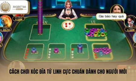 Cách Chơi Xóc Đĩa Tứ Linh Cực Chuẩn Dành Cho Người Mới