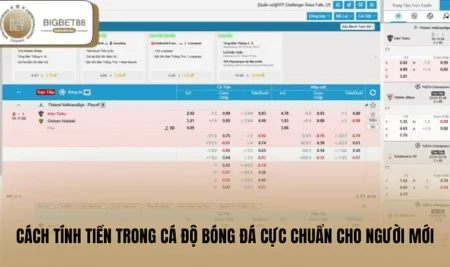 Cách Tính Tiền Trong Cá Độ Bóng Đá Cực Chuẩn Cho Người Mới