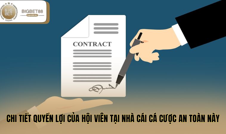 Điều Khoản Sử Dụng BIGBET88 3 Chi tiết quyền lợi của hội viên tại nhà cái cá cược an toàn này