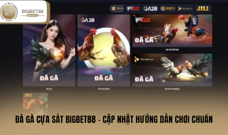 Đá Gà Cựa Sắt BIGBET88 - Cập Nhật Hướng Dẫn Chơi Chuẩn