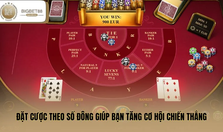 Đặt cược theo số đông giúp bạn tăng cơ hội chiến thắng