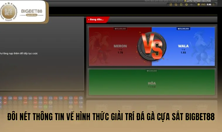 Đôi nét thông tin về hình thức giải trí đá gà cựa sắt BIGBET88