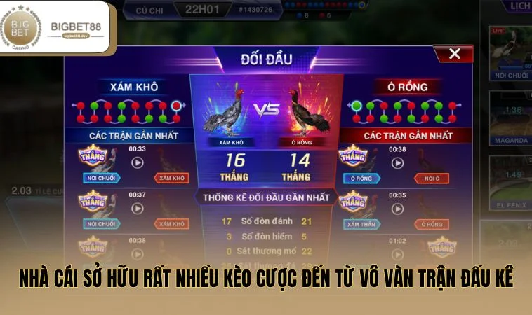 Nhà cái sở hữu rất nhiều kèo cược đến từ vô vàn trận đấu kê