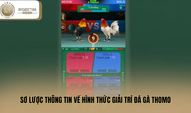 Sơ lược thông tin về hình thức giải trí đá gà Thomo
