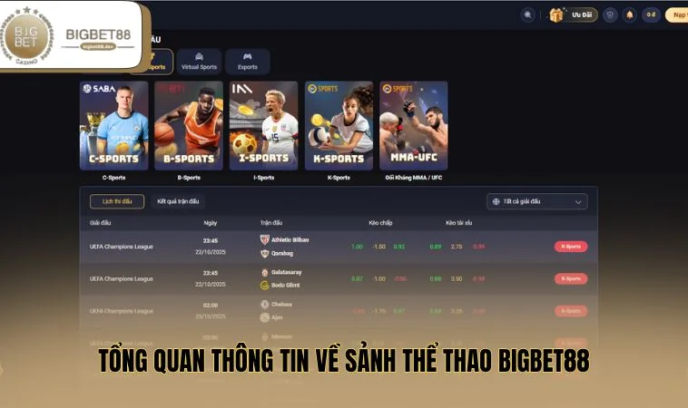 Tổng quan thông tin về sảnh thể thao BIGBET88