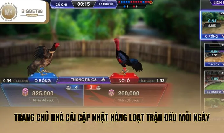 Trang chủ nhà cái cập nhật hàng loạt trận đấu mỗi ngày