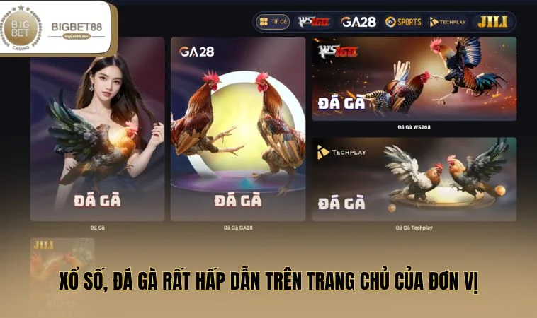 BIGBET88 - Nhà Cái Đẳng Cấp Số 1 Thị Trường Châu Á 5 Xổ số, đá gà rất hấp dẫn trên trang chủ của đơn vị